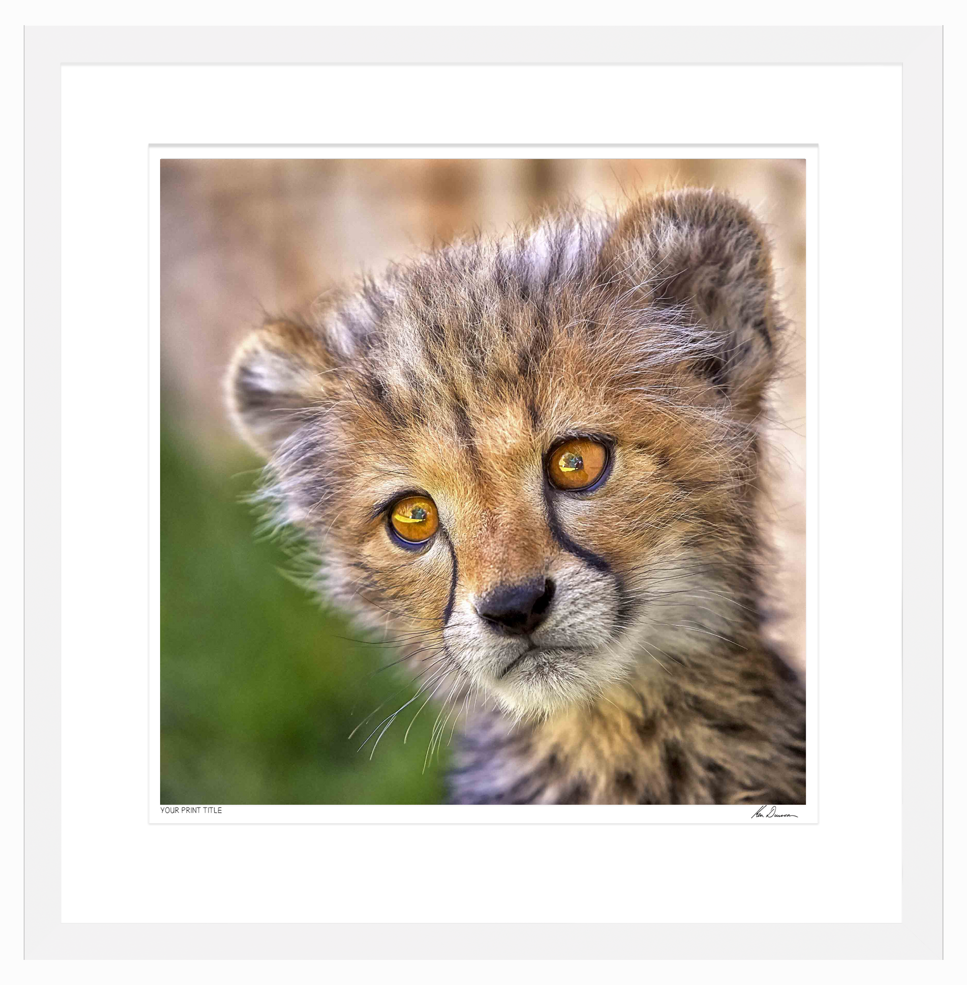 20inch Limited Edition Innocence. Framed Dimensions 790mm (h) x 775mm (w). Registration number 1552/2000