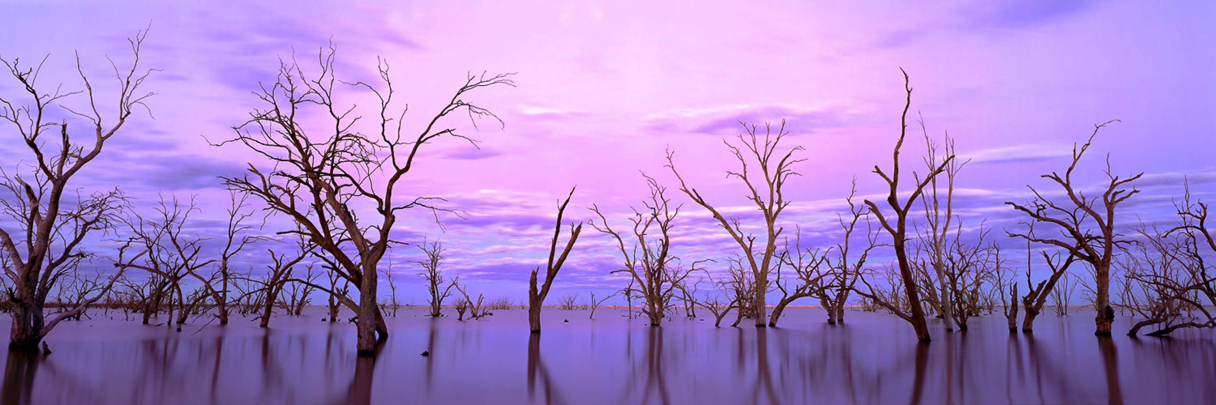 Lake Victoria, NSW
