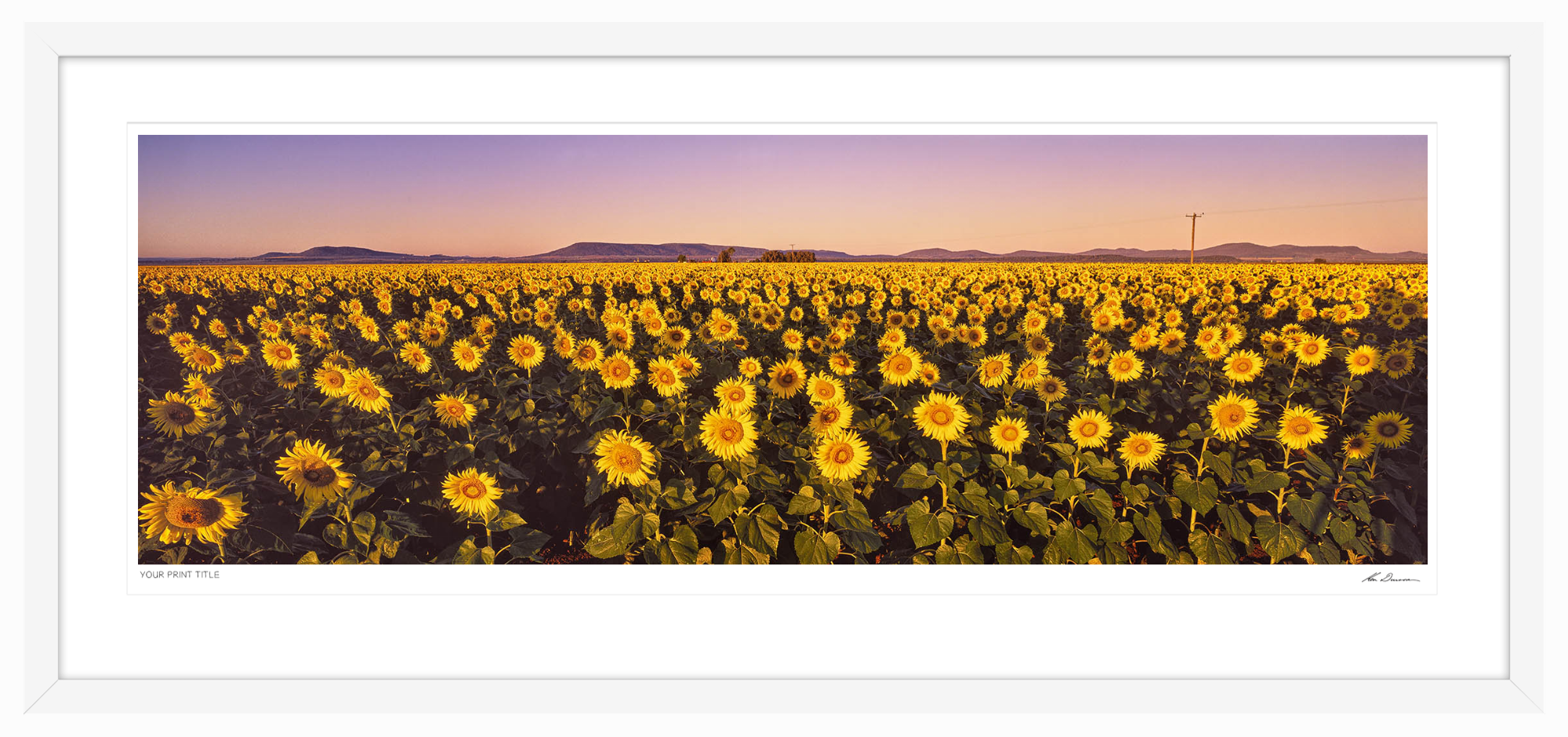 Golden Light -