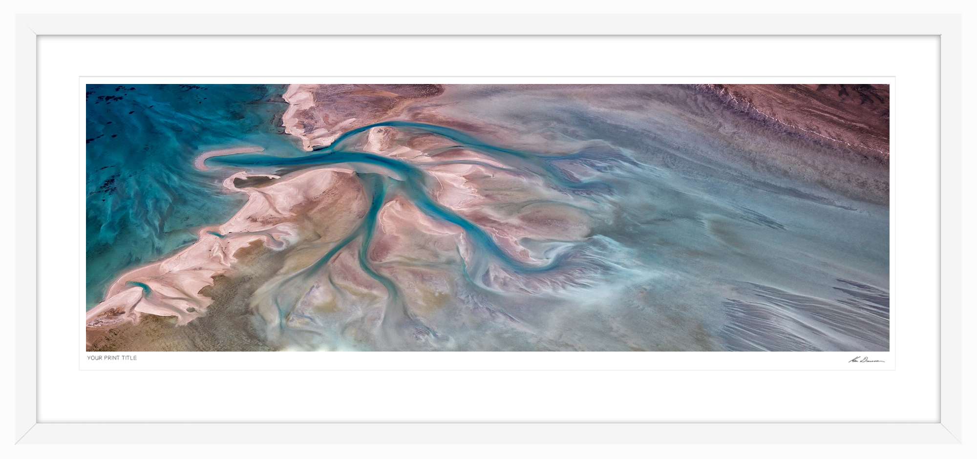 The Tree, Shark Bay -